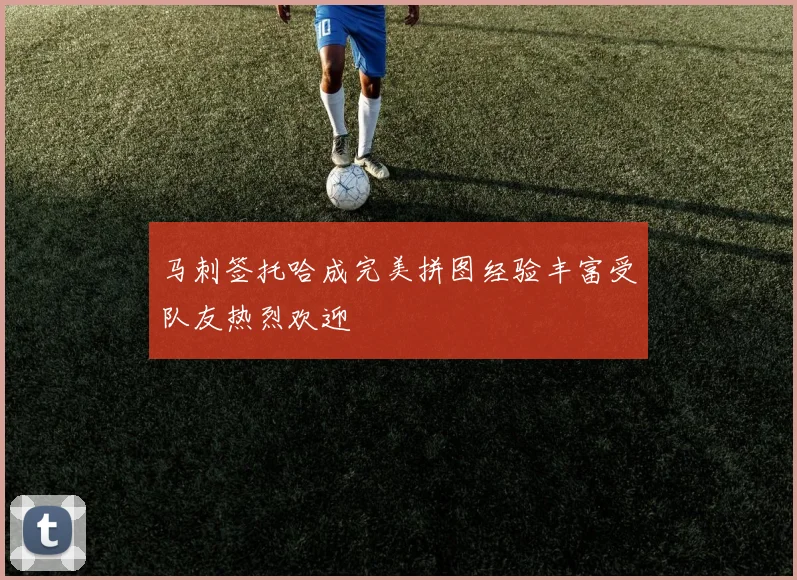 马刺签托哈成完美拼图经验丰富受队友热烈欢迎